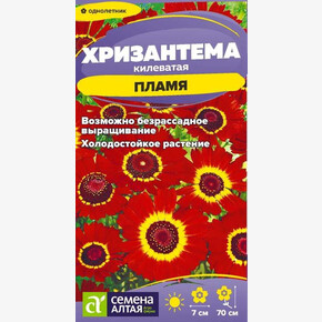 Хризантема Пламя /Сем Алт/цп 0,1 гр.