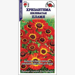 Хризантема Пламя килеватая /Сотка/ 0,2 г