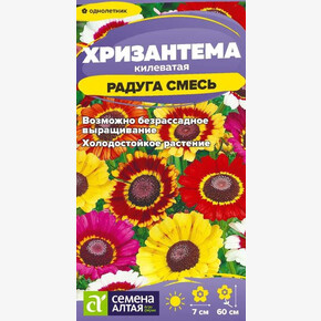Хризантема Радуга /Сем Алт/цп 0,1 гр.