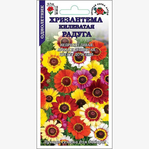 Хризантема Радуга /Сотка/ 0,3г/*1000