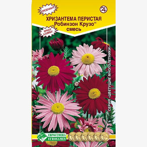 Хризантема РОБИНЗОН КРУЗО(0,2 гр)/ Евросемена