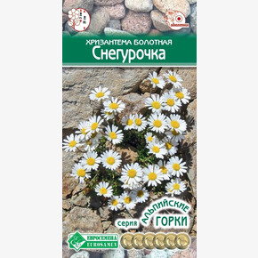 Хризантема СНЕГУРОЧКА 0,2 гр/ Евросемена