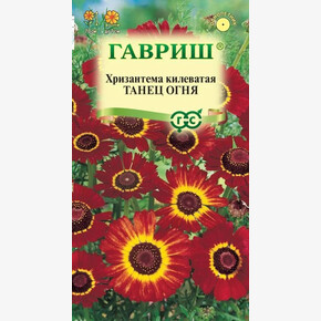 Хризантема Танец Огня /Гавриш/цп 0,5гр