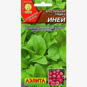 Хрустальная травка Иней /Аэлита/