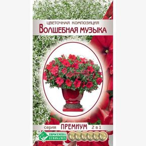 Цветочная композиция Волшебная Музыка/ Евросемена