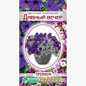 Цветочная композиция Дивный Вечер/ Евросемена