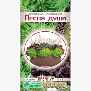 Цветочная композиция Песня Души/ Евросемена