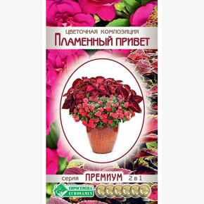 Цветочная композиция Пламенный Привет/ Евросемена