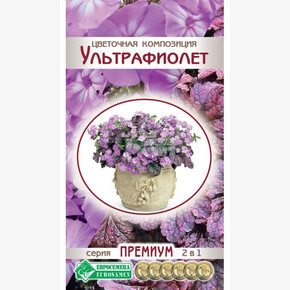 Цветочная композиция Ультрафиолет/ Евросемена