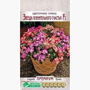 Цветочная смесь Звезда пленительного счастья/ Евросемена