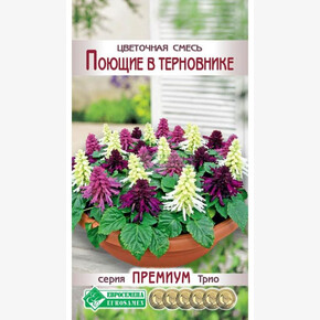 Цветочная смесь ПОЮЩИЕ В ТЕРНОВНИКЕ 9 шт/ Евросемена