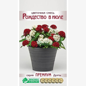 Цветочная смесь Рождество в Июле/ Евросемена