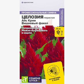 Целозия Айс Крим Вишневый факел /Сем Алт/цп 7 шт.