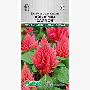 Целозия Айс Крим Салмон (10 шт) /PanAm Seeds/ Евросемена
