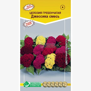 Целозия гребенчатая ДЖЕССИКА ,смесь (20 шт)