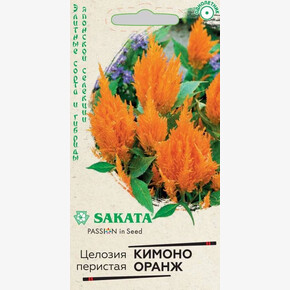 Целозия Кимоно Оранж/ Гавриш