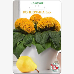 Целозия Концертина Ело 8шт/ Биотехника