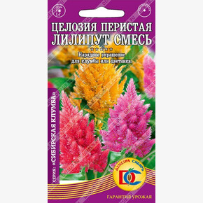 Целозия Лилипут смесь /0,1 гр Дем Сиб/