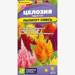 Целозия Лилипут смесь/Сем Алт/цп 0,1 гр.