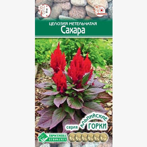 Целозия САХАРА метельчатая 10 драже/ Евросемена