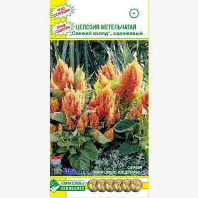 Целозия СВЕЖИЙ ВЗГЯД оранжевый (10 шт)/ Евросемена