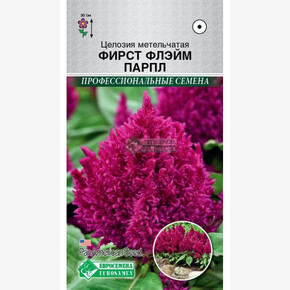 Целозия ФИРСТ ФЛЕЙМ ПАРПЛ 10 шт/ Евросемена /PanAm Seeds