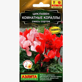 Цикламен Комнатные кораллы смесь 3шт/ Аэлита