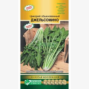 Цикорий Джельсомино/ Евросемена