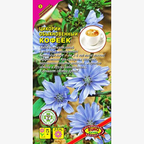 Цикорий Кофеек Аэлита