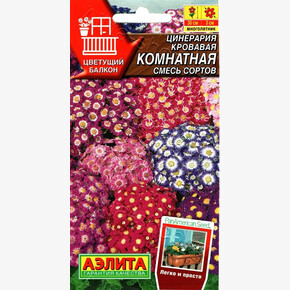 Цинерария Комнатная смесь 30шт/ Аэлита
