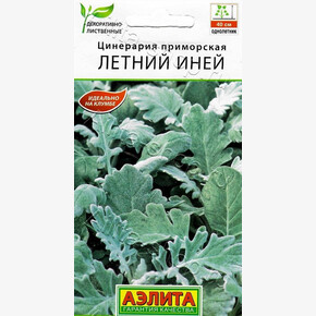 Цинерария Летний иней 0,05г/ Аэлита