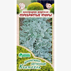 Цинерария СЕРЕБРИСТЫЕ УЗОРЫ (20 шт)/ Евросемена