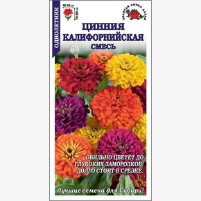 Цинния / Сотка