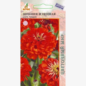 Цинния Алое Пламя/ Агрос