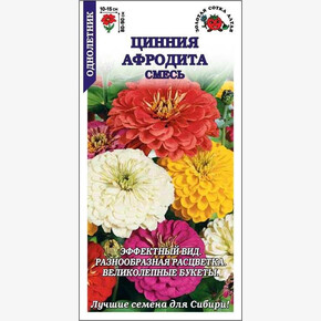 Цинния Афродита/ Сотка
