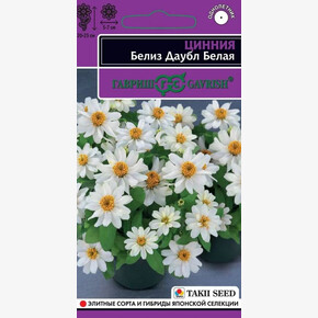 Цинния Белиз Даубл Белая 5шт/ Гавриш