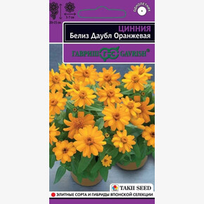 Цинния Белиз Даубл Оранжевая 5шт/ Гавриш