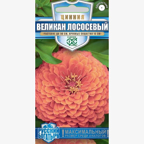Цинния Великан лососевый/ Гавриш 0,3г Русский Богатырь