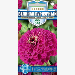Цинния Великан Пурпурный/ Гавриш 0,3г Русский Богатырь