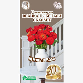 Цинния Великаны Бенари Скарлет/ Евросемена