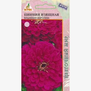 Цинния Вишневая Королева 0.5г*