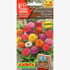 Цинния горшечная смесь 12шт/ Аэлита