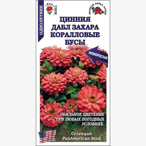 Цинния Дабл Захара Кораловые Бусы /Сотка/ 5 шт