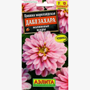 Цинния Дабл Захара малиновые искры/ Аэлита