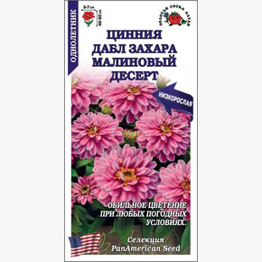 Цинния Дабл Захара Малиновый Десерт /Сотка/ 5шт