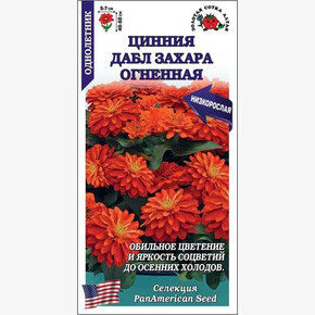Цинния Дабл Захара Огненная /Сотка/ 5 шт