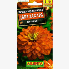Цинния Дабл Захара огненная/ Аэлита