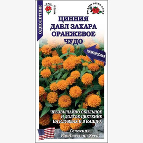 Цинния Дабл Захара Оранжевое Чудо /Сотка/ 5 шт