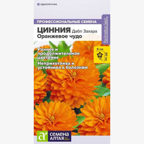 Цинния Дабл Захара Оранжевое чудо/Семена Алтая/цп 5 шт.