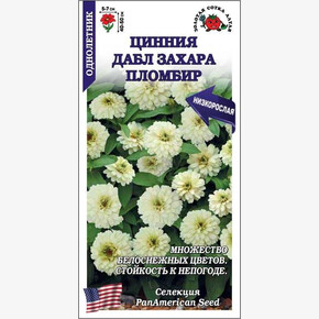 Цинния Дабл Захара Пломбир /Сотка/ 5 шт
